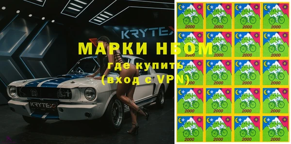 стаф Касимов