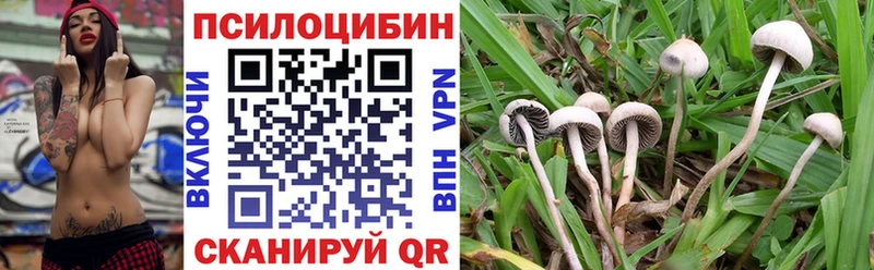 Купить  Юхнов  Галлюциногенные грибы Magic Shrooms 